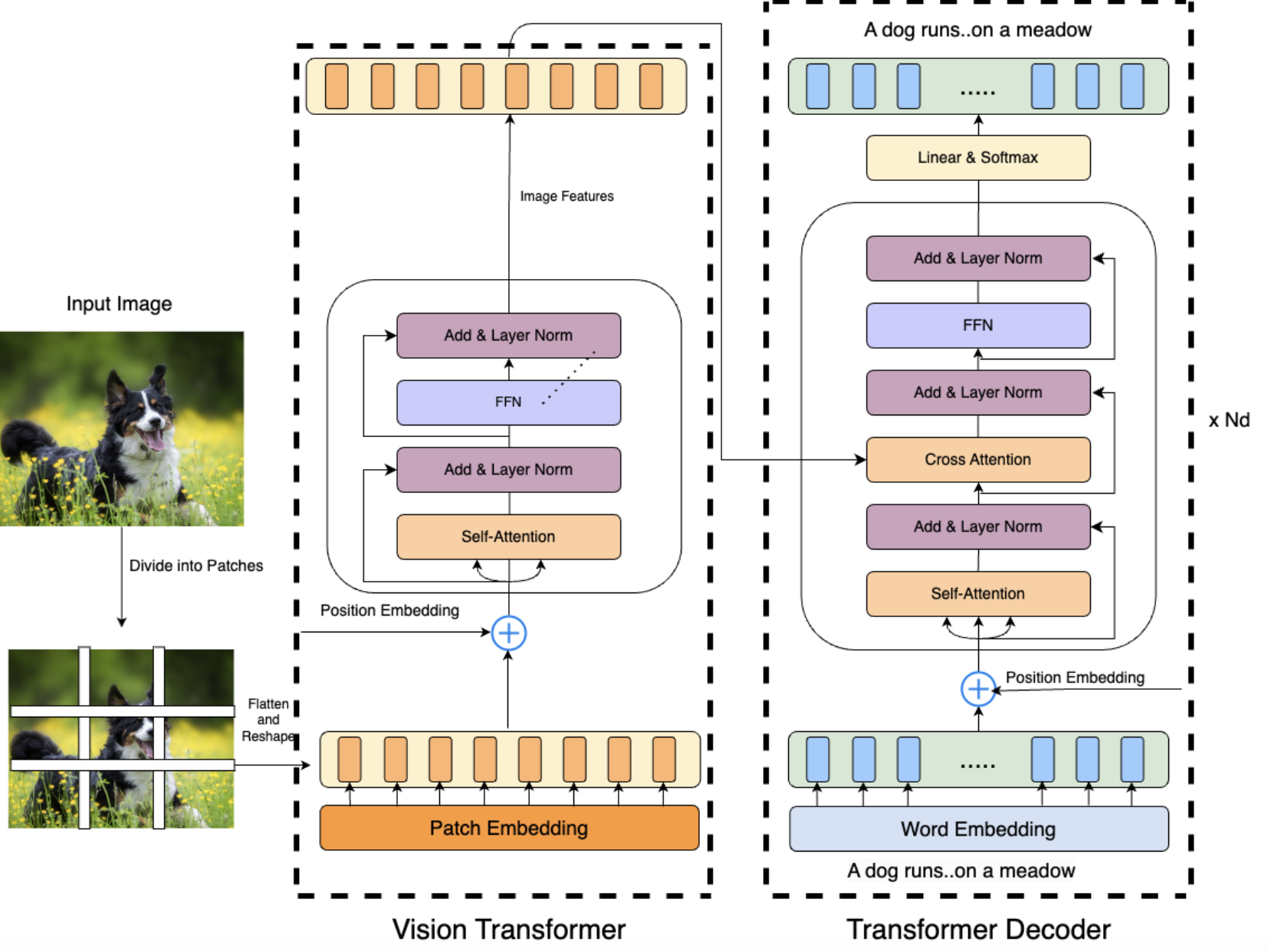 ViT Architecture